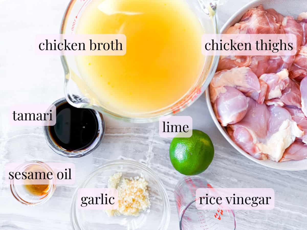 Labeled ingredient photo for the asian chicken noodle soup of all of the broth ingredients.