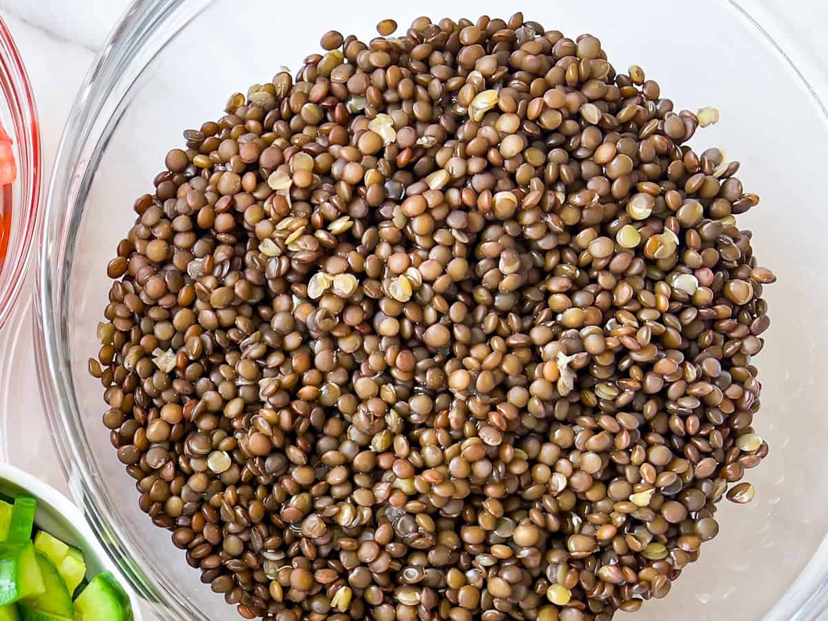 A large bowl of cooked black beluga lentils.