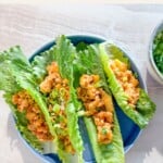 PF Chang's Chicken Lettuce Wraps pinterest.