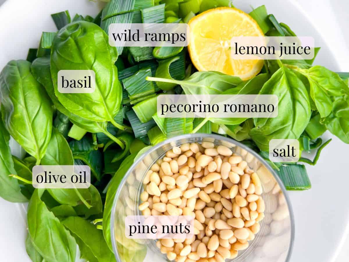 Pesto ingredients on a plate and labeled.